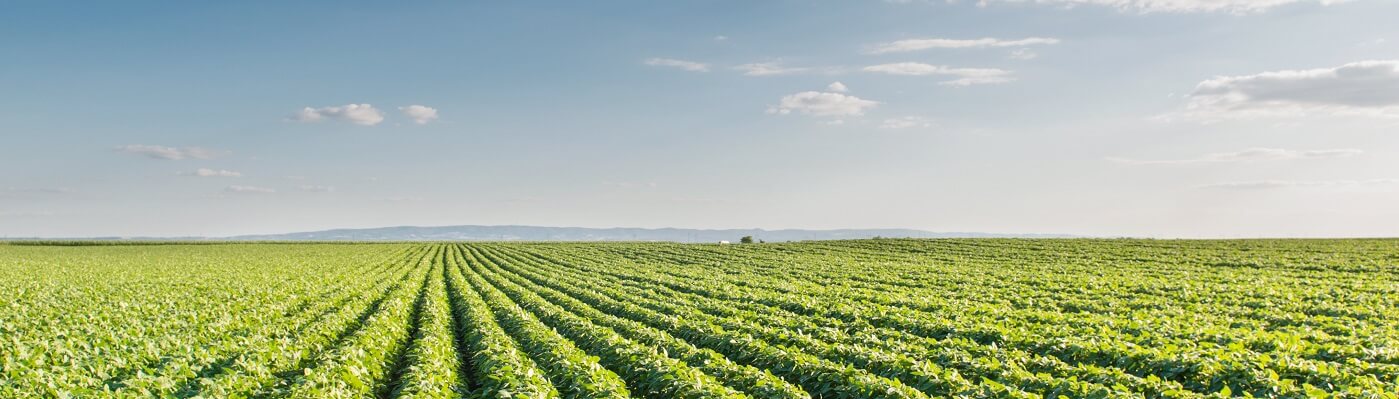 Programa de Regularização Tributária Rural (PRR)