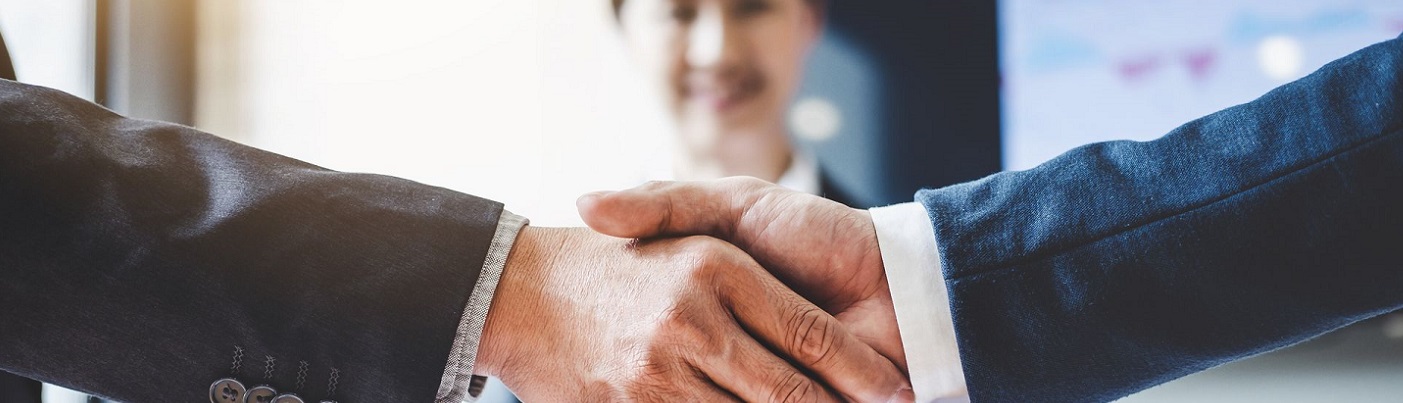 Escolha do tipo societário