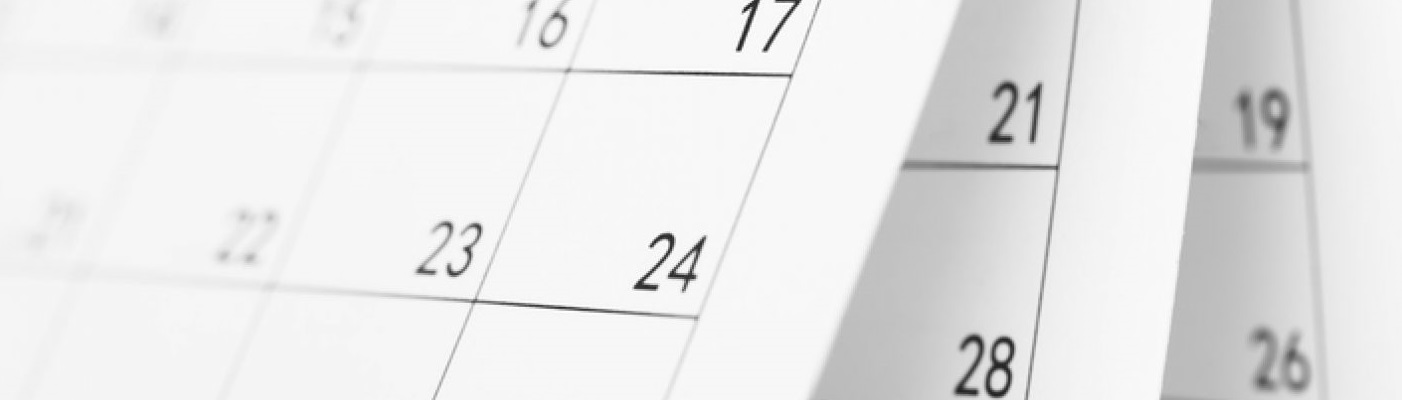 novo cronograma eSocial