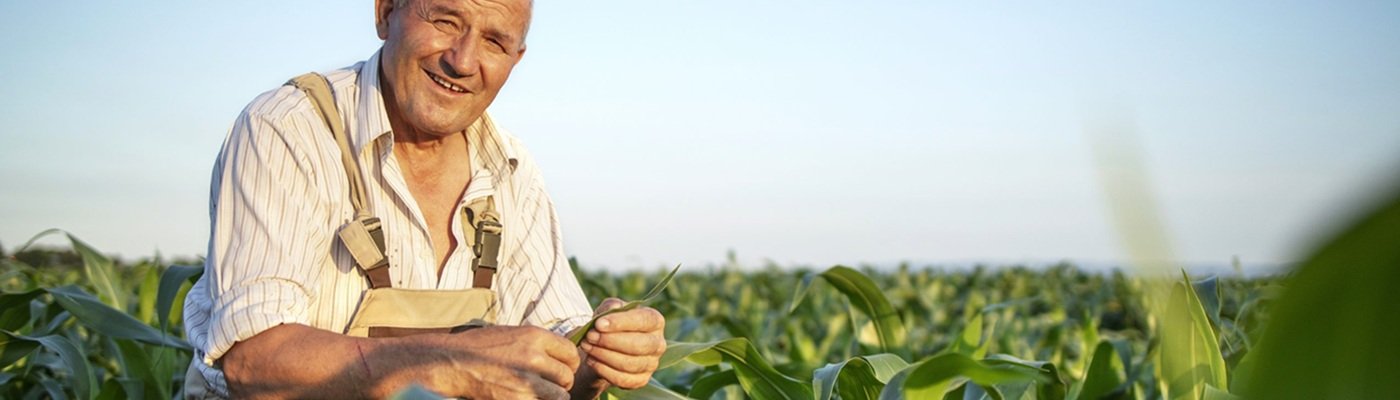 Reforma tributária no agro o que muda para o produtor rural